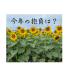新春、あけおめ、正月用（個別スタンプ：13）
