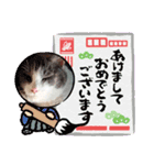 あーちゃん1年の行事スタンプにゃ（個別スタンプ：2）