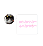 あーちゃん1年の行事スタンプにゃ（個別スタンプ：6）