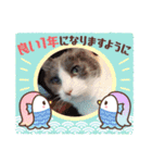 あーちゃん1年の行事スタンプにゃ（個別スタンプ：7）