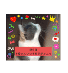 あーちゃん1年の行事スタンプにゃ（個別スタンプ：10）