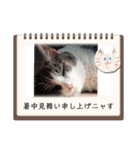 あーちゃん1年の行事スタンプにゃ（個別スタンプ：12）