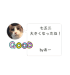 あーちゃん1年の行事スタンプにゃ（個別スタンプ：14）