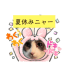 あーちゃん1年の行事スタンプにゃ（個別スタンプ：15）