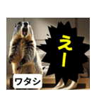 叫ぶ！マーモットとミーム会話⭐40匹セット（個別スタンプ：21）