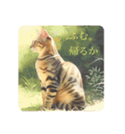 猫(日常生活に使えそうな)（個別スタンプ：1）