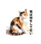 猫(日常生活に使えそうな)（個別スタンプ：5）