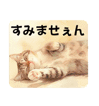 猫(日常生活に使えそうな)（個別スタンプ：6）