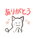 中高年ねこ やさしいあいさつ（個別スタンプ：5）