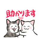 中高年ねこ やさしいあいさつ（個別スタンプ：7）