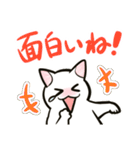 中高年ねこ やさしいあいさつ（個別スタンプ：13）