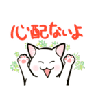 中高年ねこ やさしいあいさつ（個別スタンプ：24）