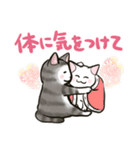 中高年ねこ やさしいあいさつ（個別スタンプ：39）