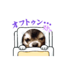 コッシー動くスタンプ（個別スタンプ：3）