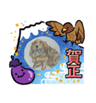 【可愛いあいさつ】花蓮ちゃん＆とわくん（個別スタンプ：1）