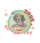 【可愛いあいさつ】花蓮ちゃん＆とわくん（個別スタンプ：2）