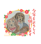【可愛いあいさつ】花蓮ちゃん＆とわくん（個別スタンプ：3）