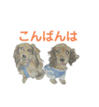 【可愛いあいさつ】花蓮ちゃん＆とわくん（個別スタンプ：7）