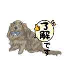 【可愛いあいさつ】花蓮ちゃん＆とわくん（個別スタンプ：13）