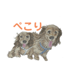 【可愛いあいさつ】花蓮ちゃん＆とわくん（個別スタンプ：16）