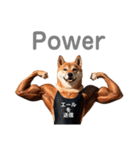 柴犬太のNo buff No life（個別スタンプ：1）