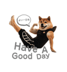 柴犬太のNo buff No life（個別スタンプ：4）