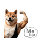 柴犬太のNo buff No life（個別スタンプ：5）