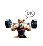 柴犬太のNo buff No life（個別スタンプ：6）