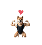 柴犬太のNo buff No life（個別スタンプ：8）