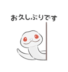 【敬語】シンプル白へび（個別スタンプ：36）