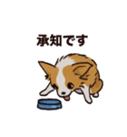 こまいチワワ（日常）（個別スタンプ：2）