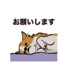 こまいチワワ（日常）（個別スタンプ：4）