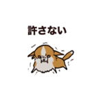 こまいチワワ（日常）（個別スタンプ：7）