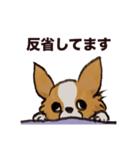 こまいチワワ（日常）（個別スタンプ：9）