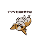 こまいチワワ（日常）（個別スタンプ：11）