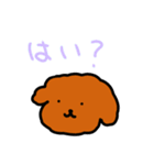 1年使えるおいぬさまスタンプだよ（個別スタンプ：8）