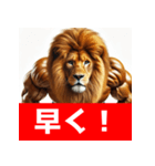筋トレマッチョライオン！（個別スタンプ：26）