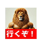 筋トレマッチョライオン！（個別スタンプ：36）