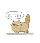 なんて素晴らしい猫のいる生活（個別スタンプ：10）