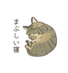 なんて素晴らしい猫のいる生活（個別スタンプ：16）