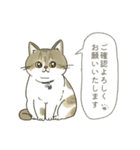 なんて素晴らしい猫のいる生活（個別スタンプ：17）