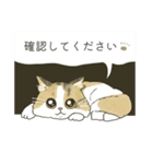 なんて素晴らしい猫のいる生活（個別スタンプ：24）