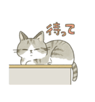 なんて素晴らしい猫のいる生活（個別スタンプ：29）