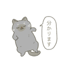 なんて素晴らしい猫のいる生活（個別スタンプ：30）