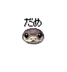 幸運！ドットへび（個別スタンプ：16）
