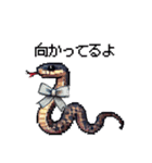 幸運！ドットへび（個別スタンプ：24）