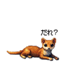 幸運！ドットへび（個別スタンプ：37）