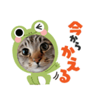 チャイ2025 vol.1（個別スタンプ：12）