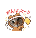 チャイ2025 vol.1（個別スタンプ：18）
