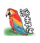 いきものたち鳥編（個別スタンプ：9）